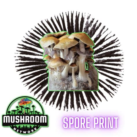 Stargazer spore print com because you asked for them! Find both mushroom spore syringes and also mushroom spore prints
